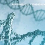 Photo Inscriptions au stage d’Histologie et Cytologie moléculaires