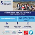 Photo Écologie marine : Typologie des habitats benthiques littoraux