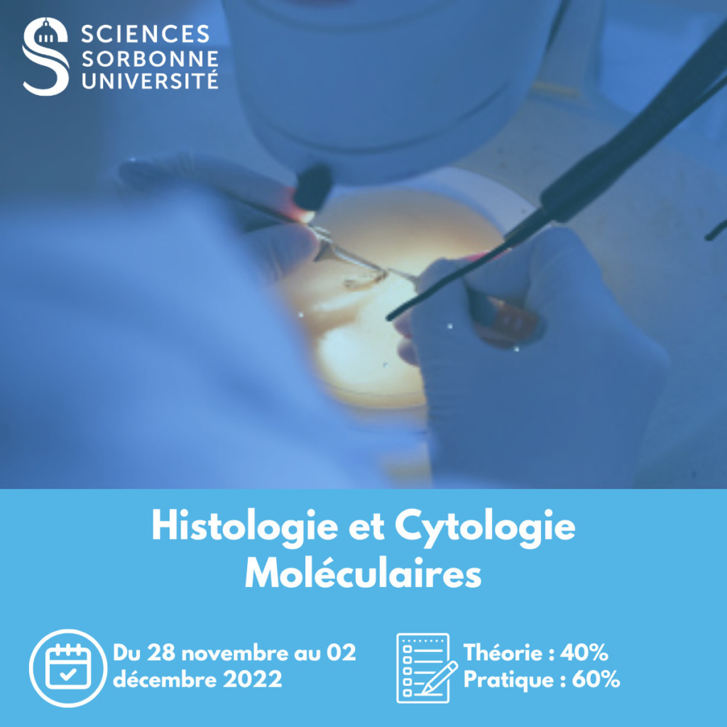 Histologie Et Cytologie Moléculaires Formation Continue Sorbonne