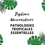 Photo Information portant sur le Diplôme Universitaire « Pathologies Tropicales Essentielles »