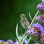 Photo Formation professionnelle du Muséum national d&rsquo;Histoire naturelle (2 jours)
